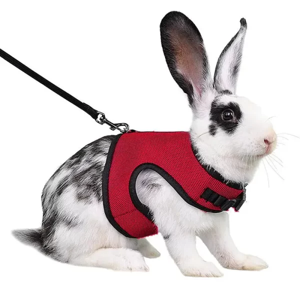 Rabbit Harness and Leash Set Bunny Pet Accessories Vest Harnesses Rabbit Leashes for Outdoor Walking Pets Supplies - Image 6