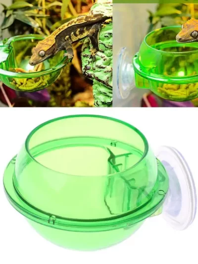 367A Reptile Feeder Anti-escape Amphibians Drinker Bowl Worm Feeding Basin with Suction Cup Plastic Bowl for Chameleon Iguana