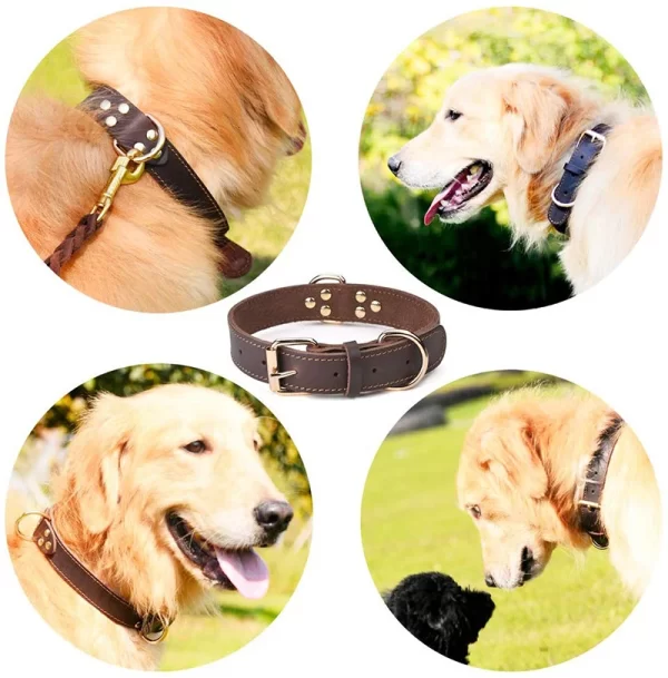 Leather Dog Collars Pet Dog Tag Collar Leash Lead For Small Medium Large Dogs Pitbull Bulldog Pugs Beagle Dog Supplies - Image 16