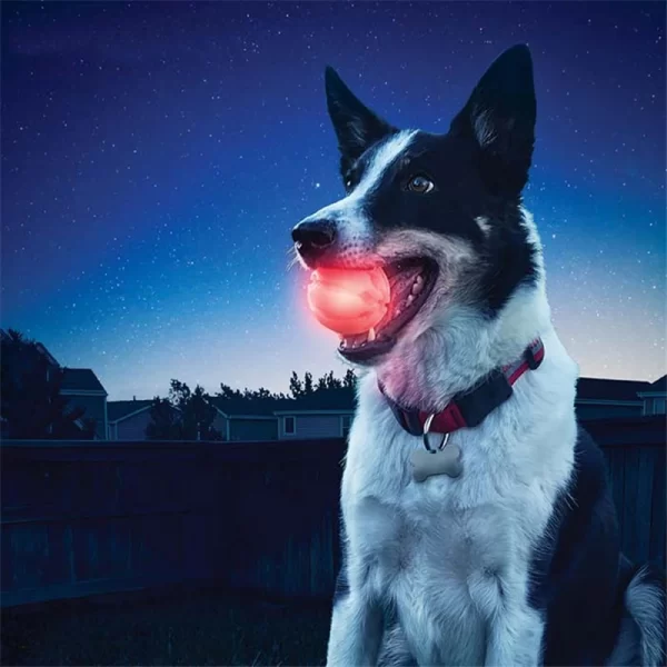 Funny Pet Bite Ball Toys LED Glowing Ball Dog Training Toys Nighttime Playing Interactive Toys For Puppy Pet Anti-lost Balls - Image 11