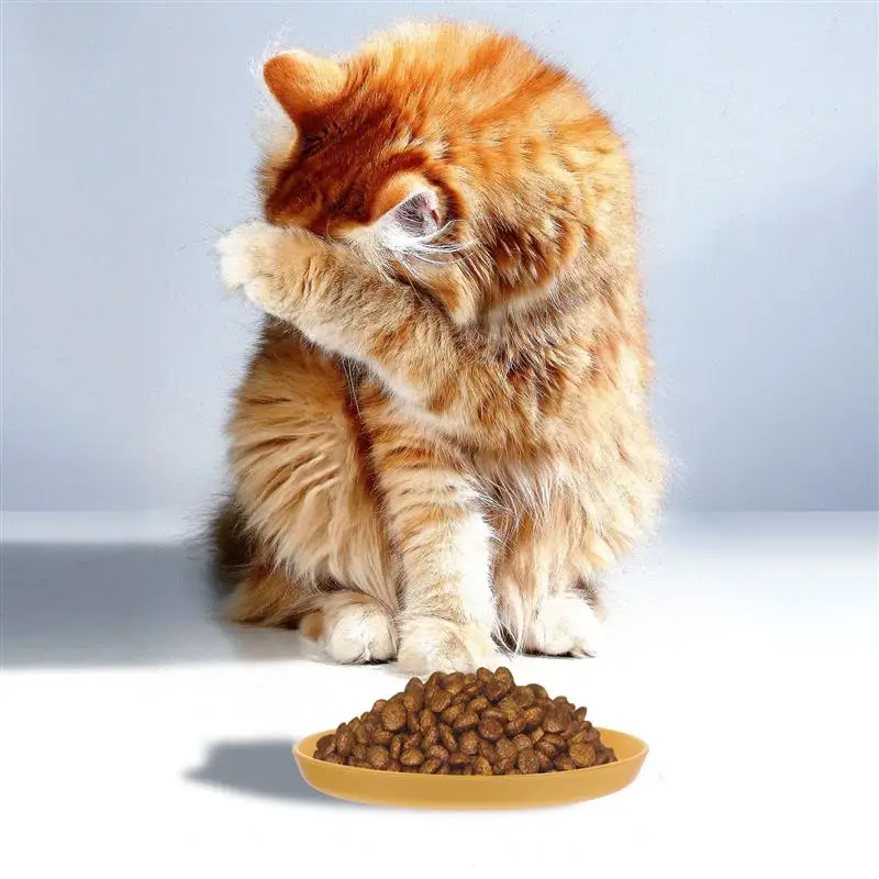 4pcs Cat Bowl Shallow Cat Food Dish Cat Feeding Bowls Wide Pet Food Plate Pet Feeding Bowl Cat And Dog Food Drinking Bowl - Image 2