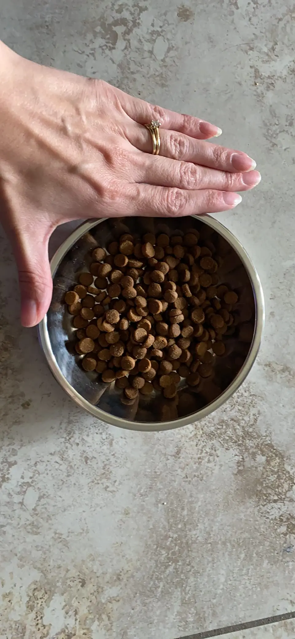 12 /6 PCS Cat Bowls Whisker Friendly, Shallow Wide Flat Cat Food Bowls Stainless Steel,Metal Cat Dishes Whisker Fatigue Relief - Image 9