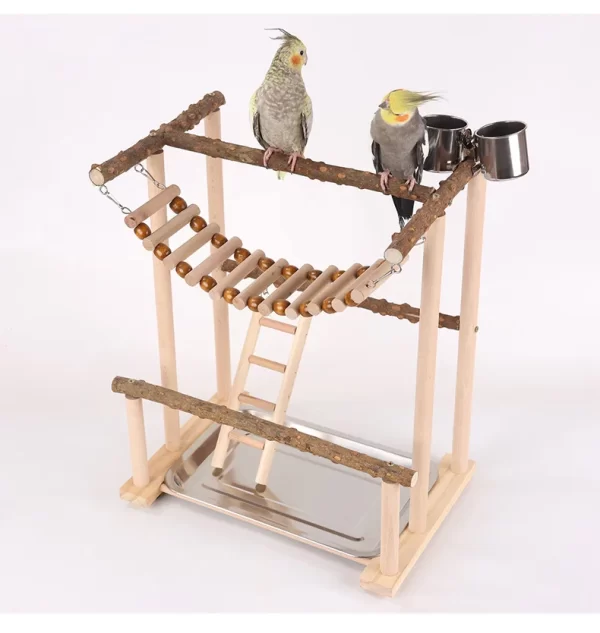 Budgies Cage Toy Stand Swing Parrots Feeding Cup Gym Toy Bridge Climbing Toy for Parakeets Cockatiel Dropshipping Bird Supplies - Image 8