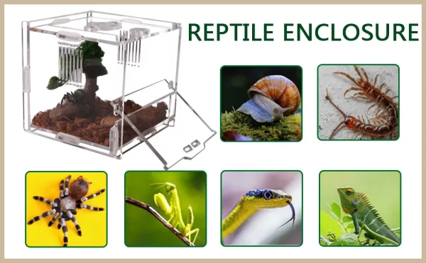 Acrylic Amphibian Breeding Boxes Jumping Spider Enclosure Feeding Box Reptile Terrarium for Tarantula Snail Small Insect Habitat - Image 7