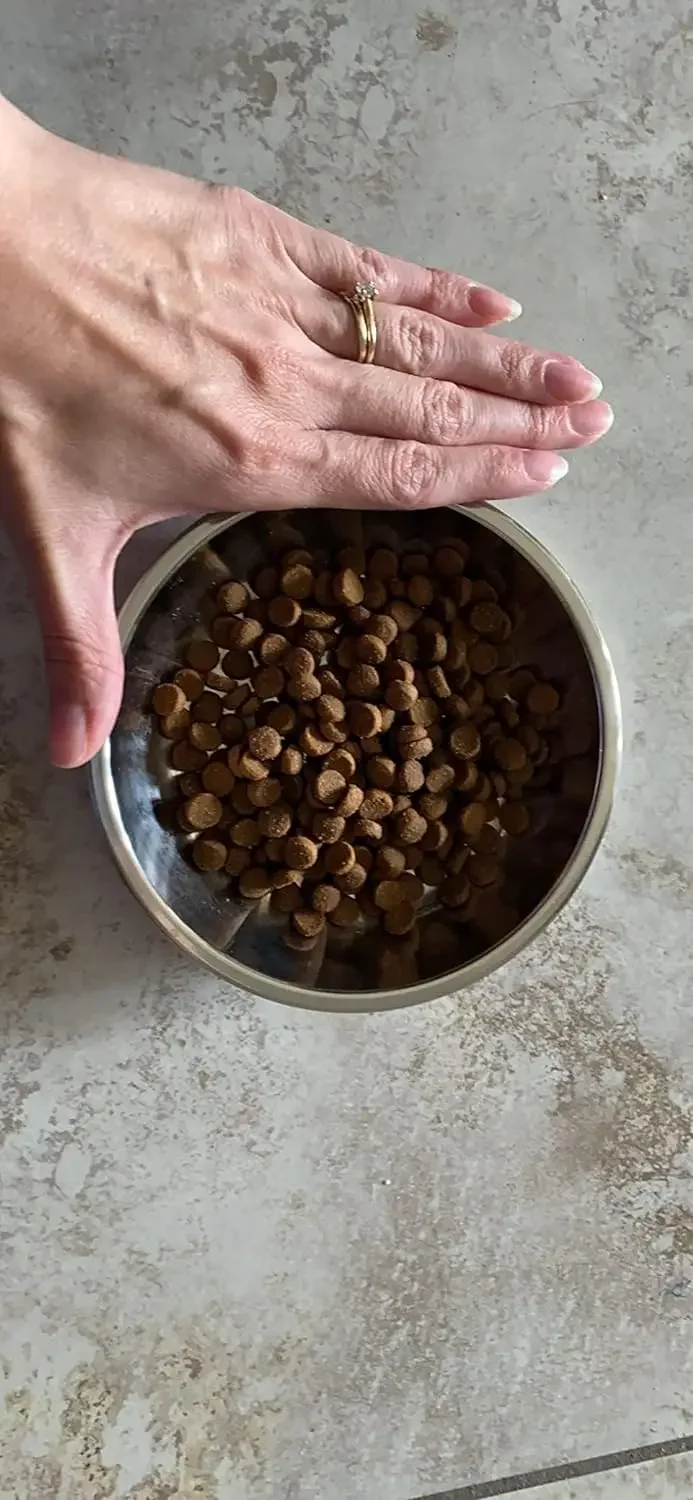 12 /6 PCS Cat Bowls Whisker Friendly, Shallow Wide Flat Cat Food Bowls Stainless Steel,Metal Cat Dishes Whisker Fatigue Relief - Image 4