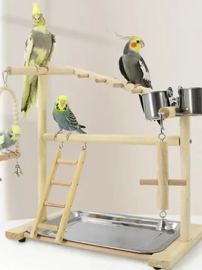 Bird Toy with Metal Feeder Bird Playstand Parrot Plays Stand Cockatiel Playground Wooden Perch Gym Playground Ladder Plate