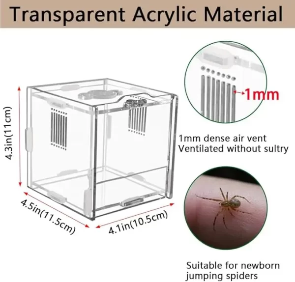 Acrylic Amphibian Breeding Boxes Jumping Spider Enclosure Feeding Box Reptile Terrarium for Tarantula Snail Small Insect Habitat - Image 9