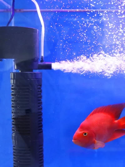 3 in 1 Silent Aeration Water Purifier Internal Pump Submersible Aquarium Filter Oxygen Submersible Water Purifier Accessories
