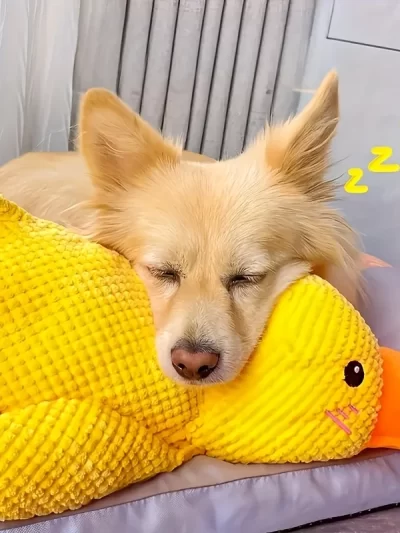 Durable Plush Durable Plush Squeaky Dog Toy | For All Dog Breeds | Plush | Squeaky, Chew Resistant, Interactive | Pet Toy
