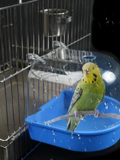 New Pet Bird Bath Box Parrot Bathing Tub Cage Accessories for Parakeet Canary Conure Birds Accessories  Parrot Bath  Pigeonc