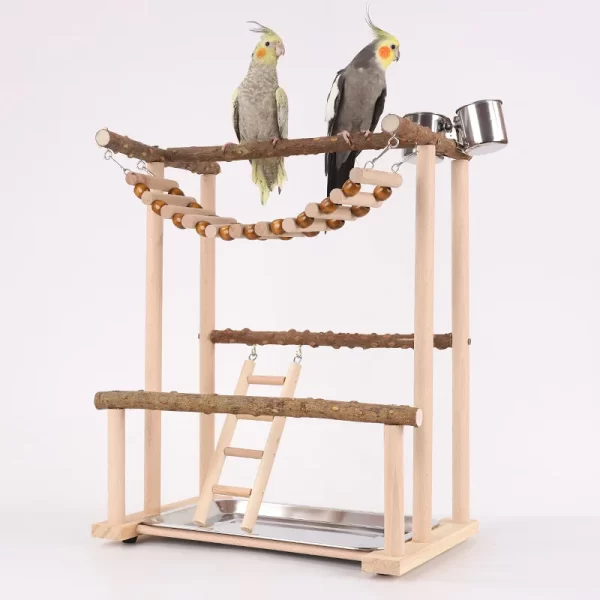 Budgies Cage Toy Stand Swing Parrots Feeding Cup Gym Toy Bridge Climbing Toy for Parakeets Cockatiel Dropshipping Bird Supplies - Image 2