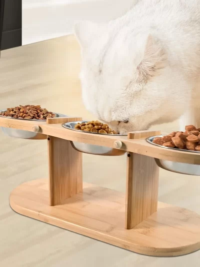 Elevated Cat Dog Bowls 15 degrees Tilted Raised Cat Food Water Bowls Pet Bowls for Cats & Small Dog Wooden Dog Bowl Pet Supplies