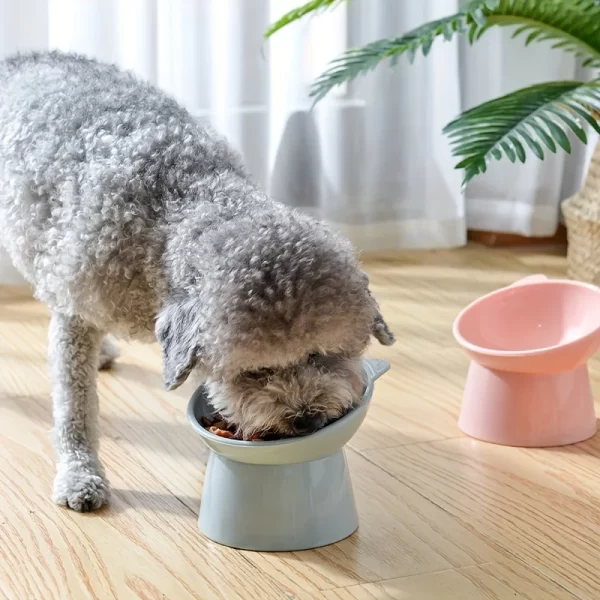 1pcs Raised Cat Food Bowls Anti Vomiting, Pet Food Bowl for Flat-Faced Cats,Small Dogs,Protect Pet's Spine,Dishwasher Safe - Image 3
