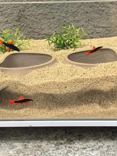 Benthic organisms, underground slopes, caves, double hole aquariums, aquariums, landscaping, hiding places, caves, aquariums, de