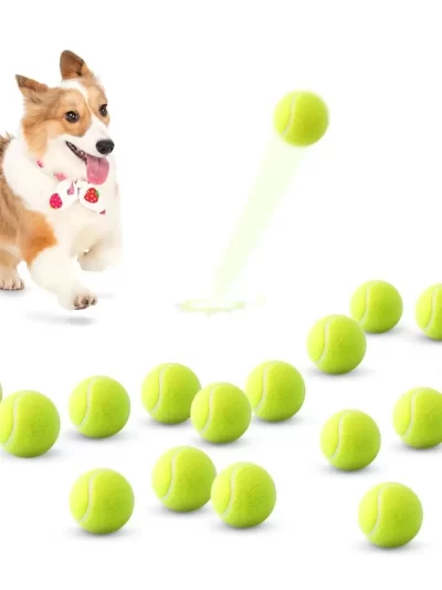 Tennis Balls for Dogs, 2-Inch Size, Compatible with Most Automatic Ball Launchers Idea for Small Dogs(12 Balls Only)