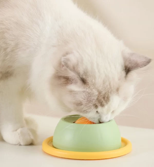Interactive Pet Cat Licking Food Toys Anti-slip Pet Slow Feeder for Cats Funny Kitten Licking Plate Cat Accessories - Image 13