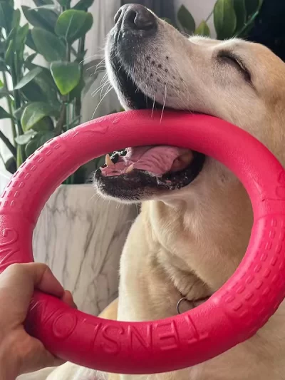 Dog Ring Toys Indestructible Chewing Flying Floating Training Tools Fetch for Small Medium Large Dogs Throwing Catching Flying