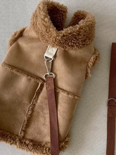 Dog Clothes Coat Accessories Small Dogs Luxury For Animal Winter Medium Dresses Soft Pet Clothing Designer Chihuahua Cute
