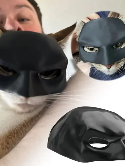 Cool Bat Mask For Cats And Dogs Pet Toys Halloween Funny Bat Cat Superhero Black Matte Cute Photo Dog Props