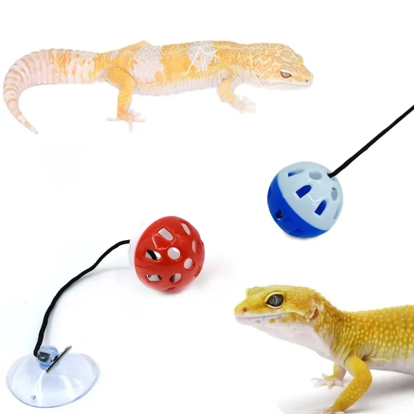 Pet Lizard Toy Reptile Toy Bell Ball with Sucker and Rope Lizard Small Animal Bearded Dragon Toy Supplies - Image 16