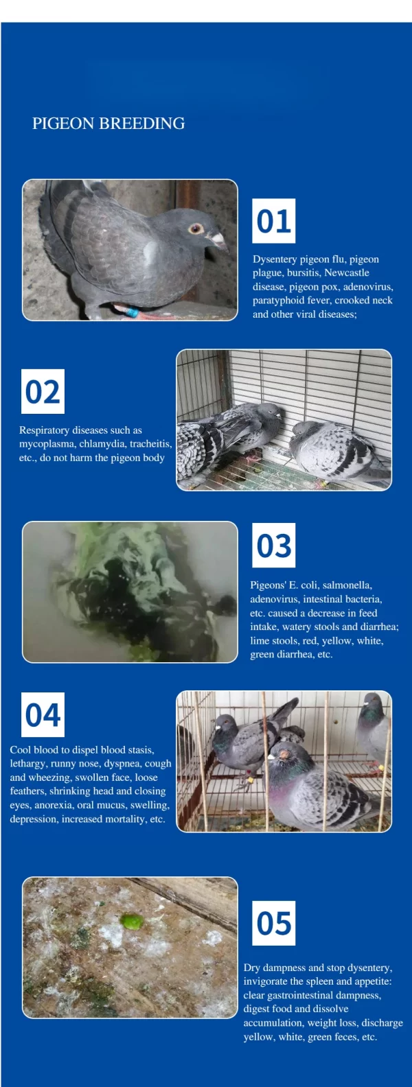 Green Water Stools, Pigeon Medicine, Newcastle Disease, Bursitis, Pigeon Supplies, Racing Pigeons, Parrots, Bird Supplies - Image 11