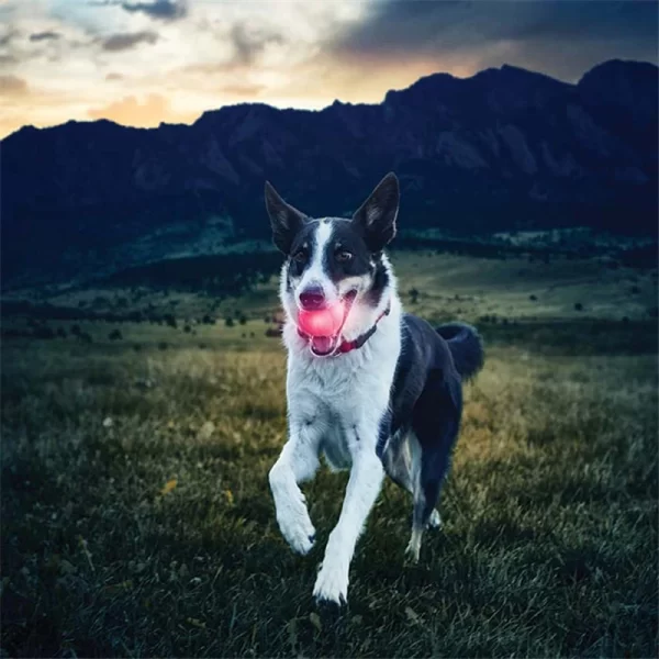 Funny Pet Bite Ball Toys LED Glowing Ball Dog Training Toys Nighttime Playing Interactive Toys For Puppy Pet Anti-lost Balls - Image 14