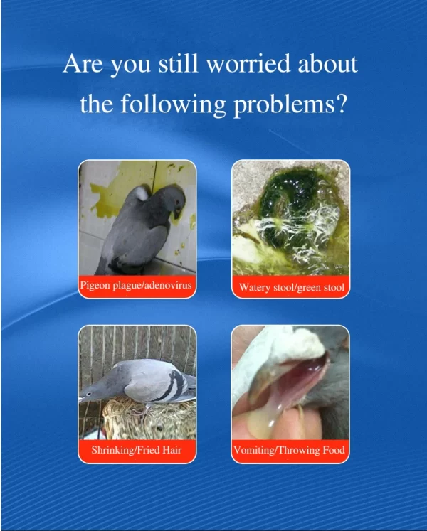 Green Water Stools, Pigeon Medicine, Newcastle Disease, Bursitis, Pigeon Supplies, Racing Pigeons, Parrots, Bird Supplies - Image 8