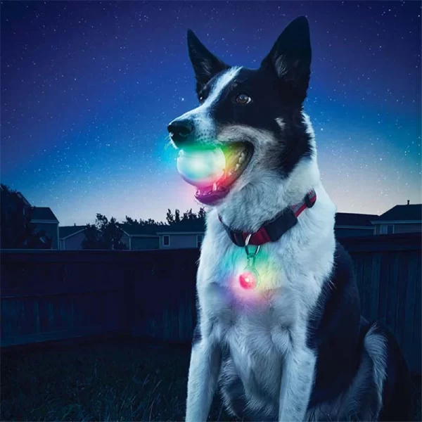 Funny Pet Bite Ball Toys LED Glowing Ball Dog Training Toys Nighttime Playing Interactive Toys For Puppy Pet Anti-lost Balls - Image 13