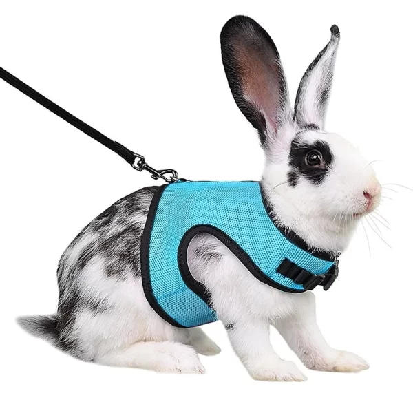 Rabbit Harness and Leash Set Bunny Pet Accessories Vest Harnesses Rabbit Leashes for Outdoor Walking Pets Supplies - Image 10