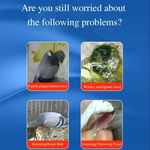 Green Water Stools, Pigeon Medicine, Newcastle Disease, Bursitis, Pigeon Supplies, Racing Pigeons, Parrots, Bird Supplies - Image 2