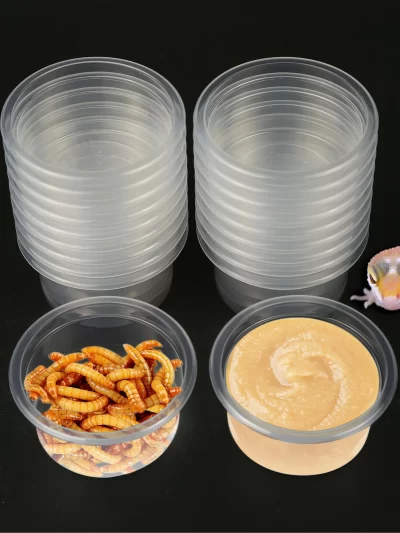 20pcs, Plastic Gecko Food and Water Feeding Cup, Reptile Feeding Bowl Replacement Bowl, Suitable for Lizards and Other Small Pet