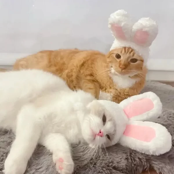 Funny Cat Headgear Cute Rabbit Ears Cap Warm Plush Ears Cat Accessories Hat PhotoProp Pet Bunny Cosplay Headdress Pet I8A8 - Image 10