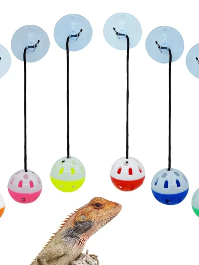 Pet Lizard Toy Reptile Toy Bell Ball with Sucker and Rope Lizard Small Animal Bearded Dragon Toy Supplies