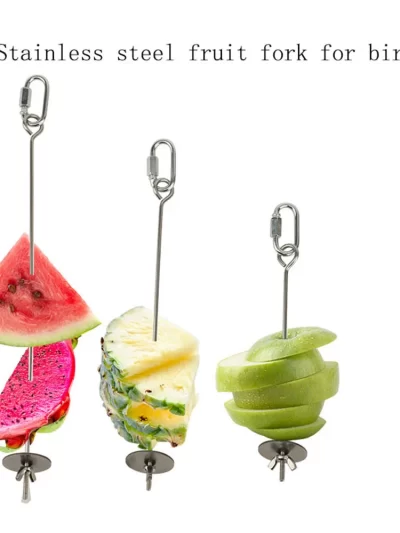 Bird Food Holder Support Stainless Steel Parrot Fruit Vegetable Feeder Stick Spear Meat Skewer Foraging Toys