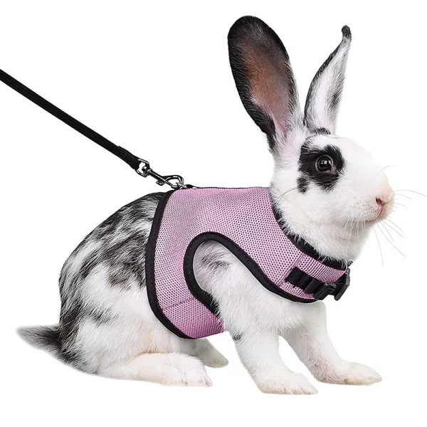 Rabbit Harness and Leash Set Bunny Pet Accessories Vest Harnesses Rabbit Leashes for Outdoor Walking Pets Supplies - Image 9