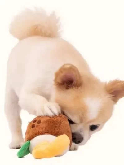 Plush Dog Toy Hide Food Grinding Teeth Clean Teeth Pet Products Built in Sound Generator Durable Relieve Boredom Pet Toys