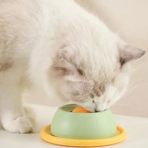 Interactive Pet Cat Licking Food Toys Anti-slip Pet Slow Feeder for Cats Funny Kitten Licking Plate Cat Accessories - Image 3