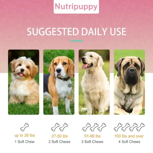 Multivitamin Nutritional Supplement For Dogs -Rich in various Essential Nutrients for Immunity & Growth - Puppy to Senior Dogs - Image 14