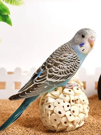Educational Bird Training Toy Parrot Grass Ball Bite Ball Mouth Grinding Toy Fun Interactive Pet Bird Plaything