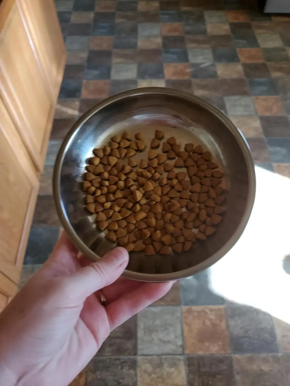 12 /6 PCS Cat Bowls Whisker Friendly, Shallow Wide Flat Cat Food Bowls Stainless Steel,Metal Cat Dishes Whisker Fatigue Relief - Image 3