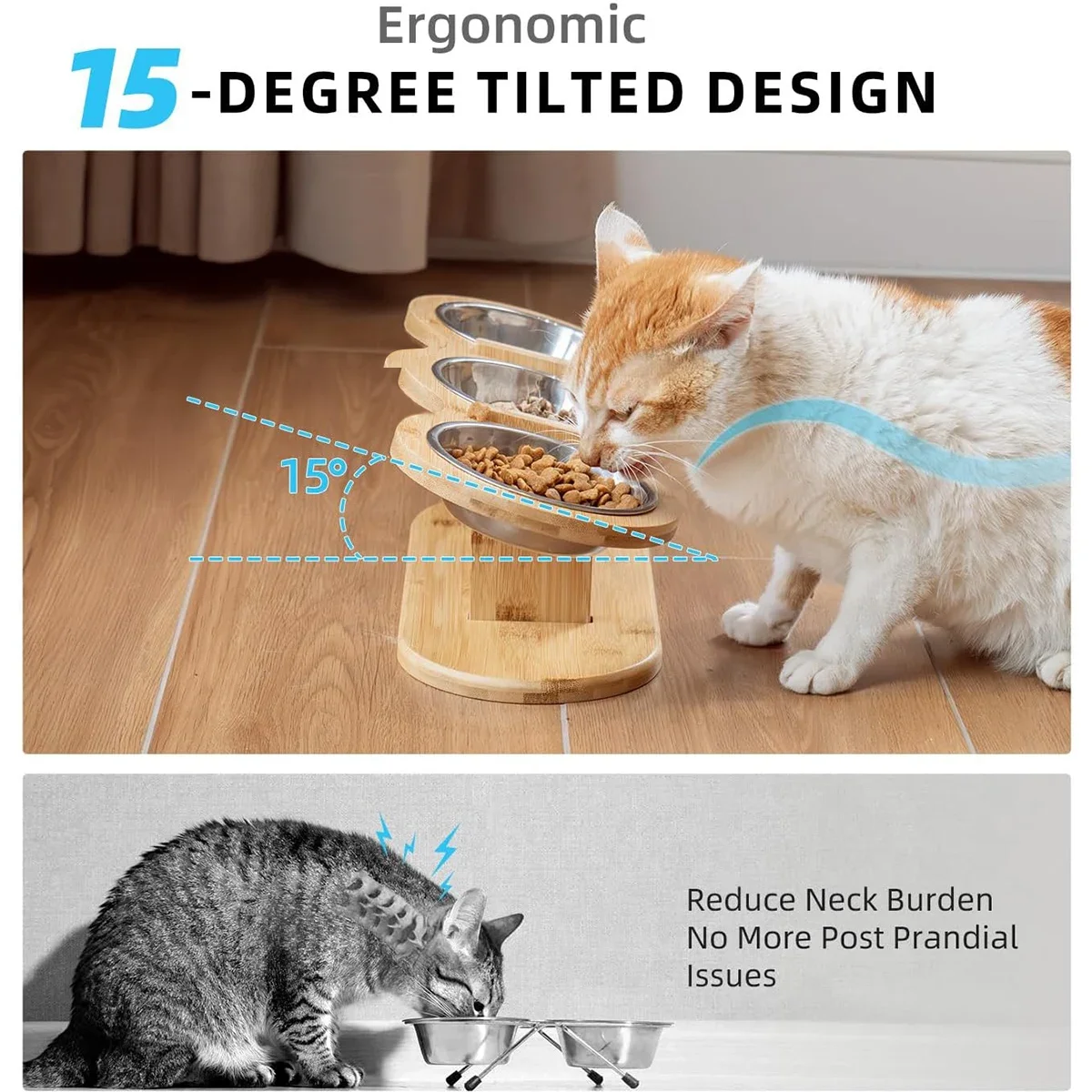 Elevated Cat Dog Bowls 15 degrees Tilted Raised Cat Food Water Bowls Pet Bowls for Cats & Small Dog Wooden Dog Bowl Pet Supplies - Image 5