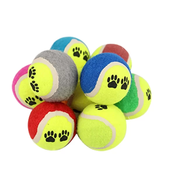 Funny Pet Small Dog Baseball Puppy Cat Interactive Training bite Ball Toy - Image 2