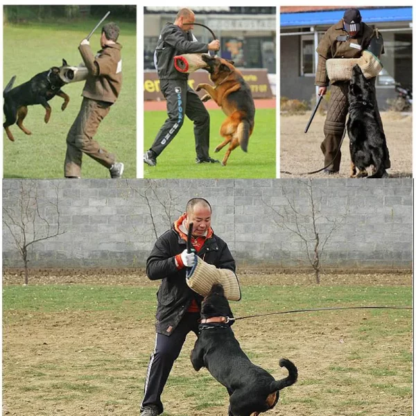 Soft Pet Dog Training Leashes Dog Train Cane Bendable Sticks Hit Dog Supplies Rods for Police Anti-riot Behavior correction tool - Image 2