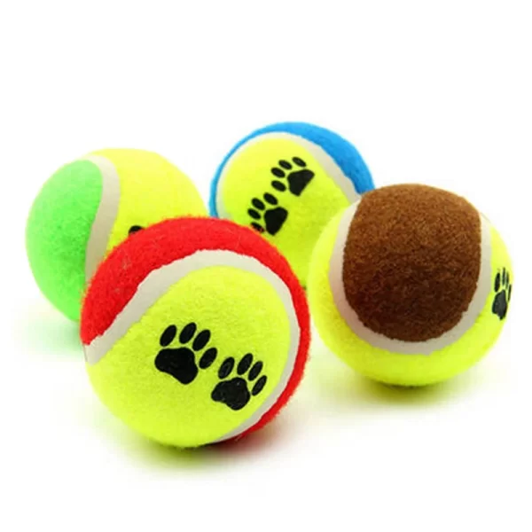Funny Pet Small Dog Baseball Puppy Cat Interactive Training bite Ball Toy - Image 4