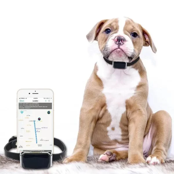 IP67 Waterproof Pet Collar Wifi Light GPS Tracker For Pets Dogs GPS Tracker Kids Personal Locator Anti-Lost Tracking Device - Image 7
