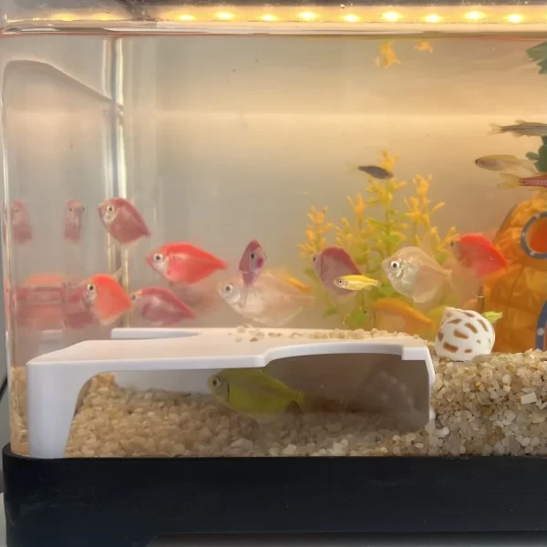 Fish Tank Accessories 3D Print Fish Shelter Cave Plastic Decorative Fish Tunnel Betta Shelter Artificial Resting Cave Aquariums - Image 5