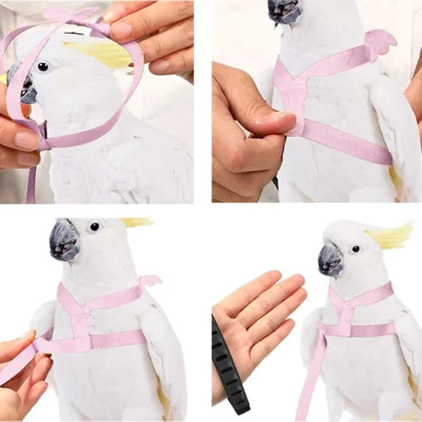 Parrot Flying Harness Leash Suit Macaw Accessories Stuff For Budgie Pet Bird Outdoor Flight Training Rope Cockatiel Supplies NEW - Image 3