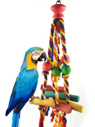 Random Colors Bird Accessories Wood Chewing Toy Birds Rope Parrot Toys Cage Resistant Small Large Bird Toy Parrots Training