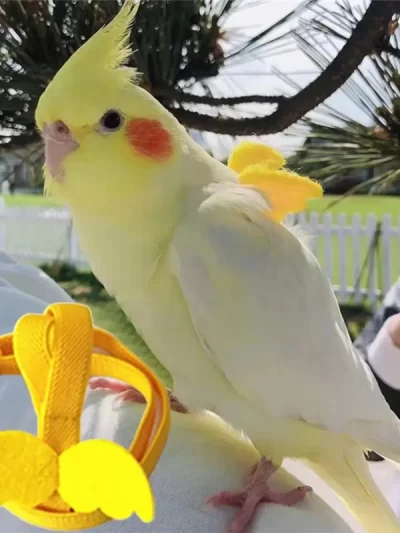 Adjustable Parrot Bird Harness Leash Set Anti-bite Training Harness Parrots Outdoor Flying Rope Cockatiel Small Birds Supplies