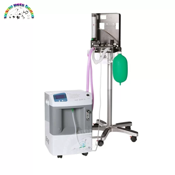 Veterinary Oxygen Machine 10L Pet Hospital Equipment High Flow Oxygen Generator Vet Machine - Image 5